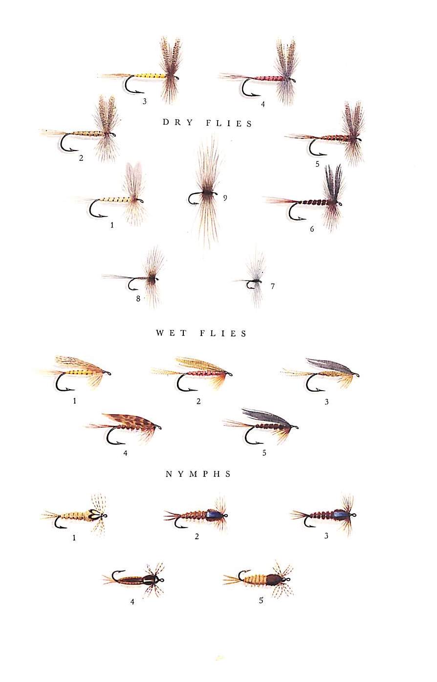 "The Fly And The Fish" 1951 ATHERTON, John