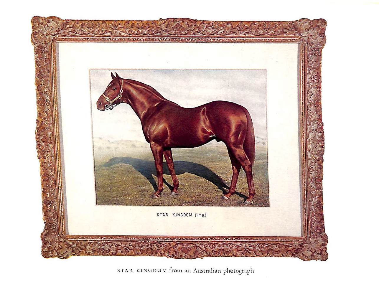 "International Stallions And Studs" 1974 SETH-SMITH, Michael