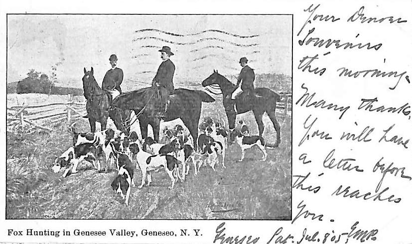 Fox Hunting In Genesee Valley, Geneseo, N.Y. c1905 Postcard