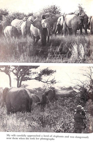 "Animal Safari: Big Game In South West Africa" 1956 HECK, Lutz