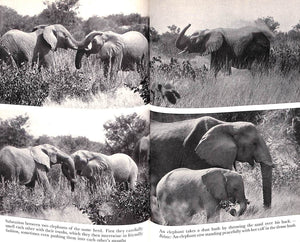 "Animal Safari: Big Game In South West Africa" 1956 HECK, Lutz