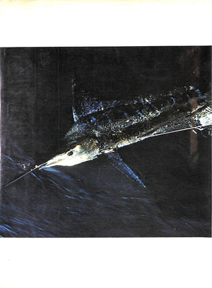 "Big Fish And Blue Water: Gamefishing In The Pacific" 1970 GOADBY, Peter