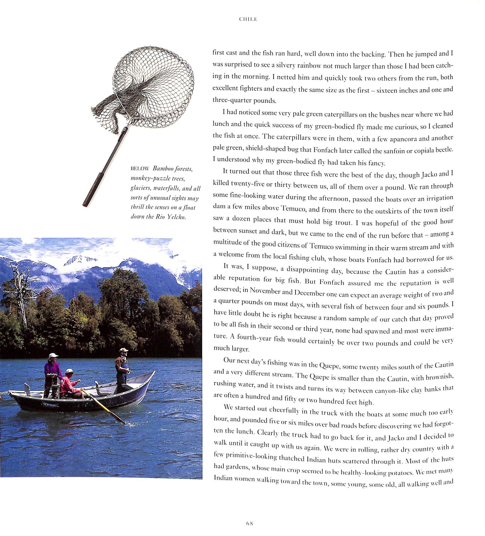 "Trout And Salmon" 1999 ATKINSON, R. Valentine