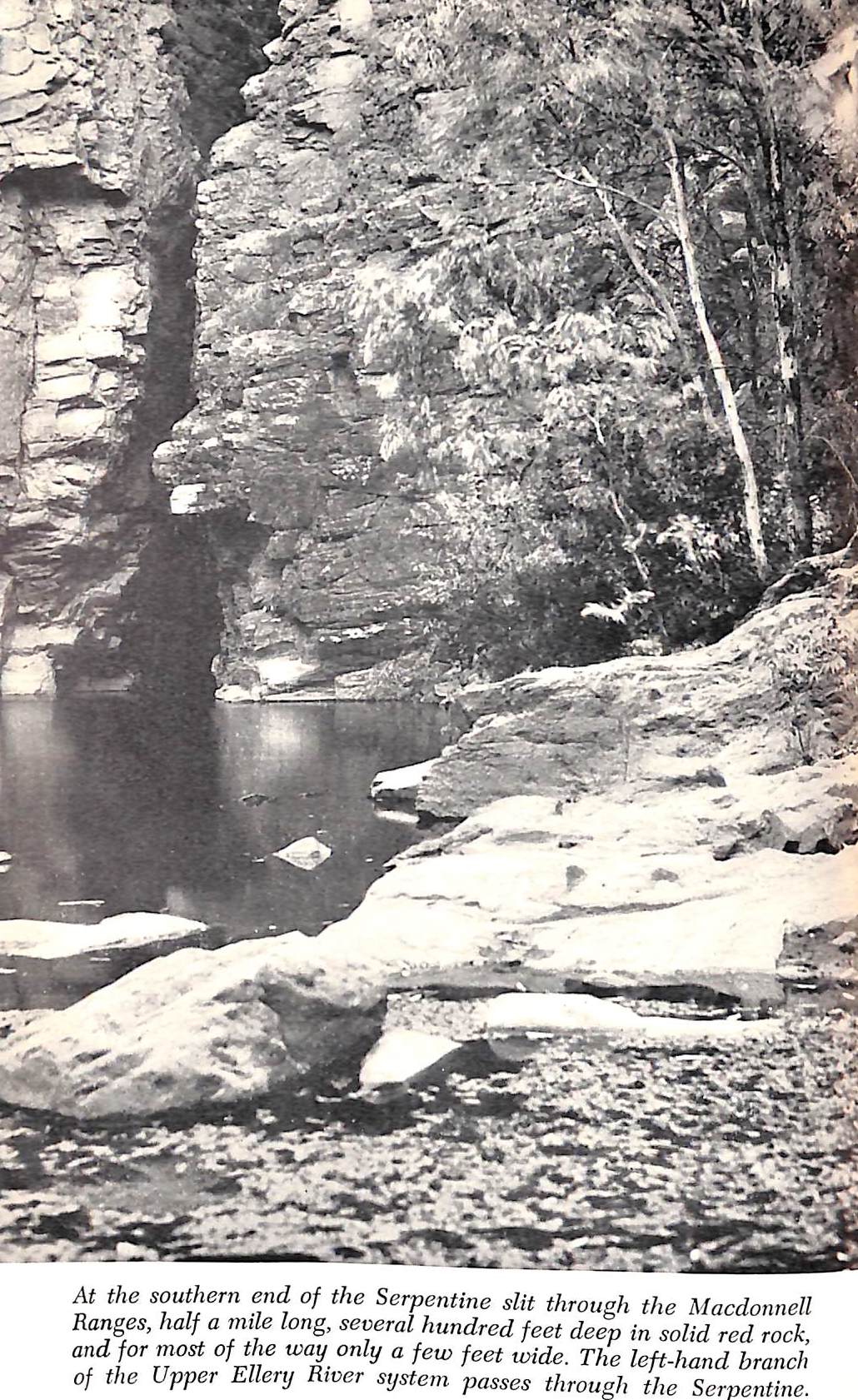 "I Saw A Strange Land" 1952 GROOM, Arthur