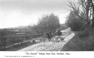 "The Hounds" Myopia Hunt Club, Hamilton, Mass. c1910s Post Card