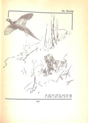 "Letters To Young Sportsmen On Hunting, Angling & Shooting" 1930 J. Mackillop, Horace G. Hutchinson, and Kenneth Dawson