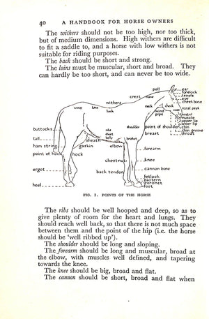 "A Handbook For Horse Owners" 1936 MCTAGGART, Lt. Col. M.F.
