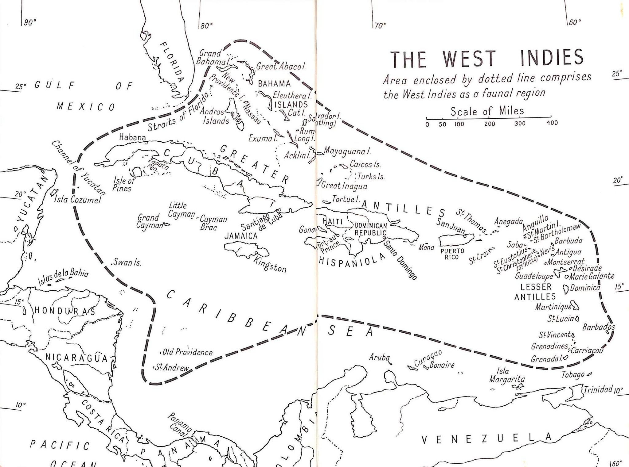 "A Field Guide To The Butterflies Of The West Indies" 1975 RILEY, Norman D.