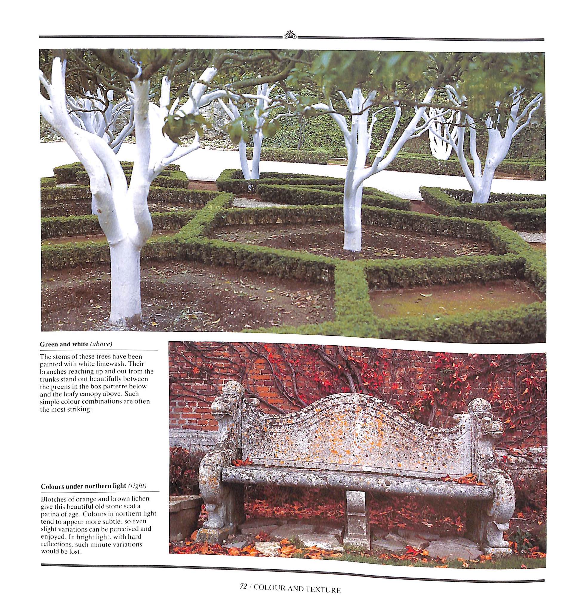 "The Well-Furnished Garden" 1986 BALSTON, Michael