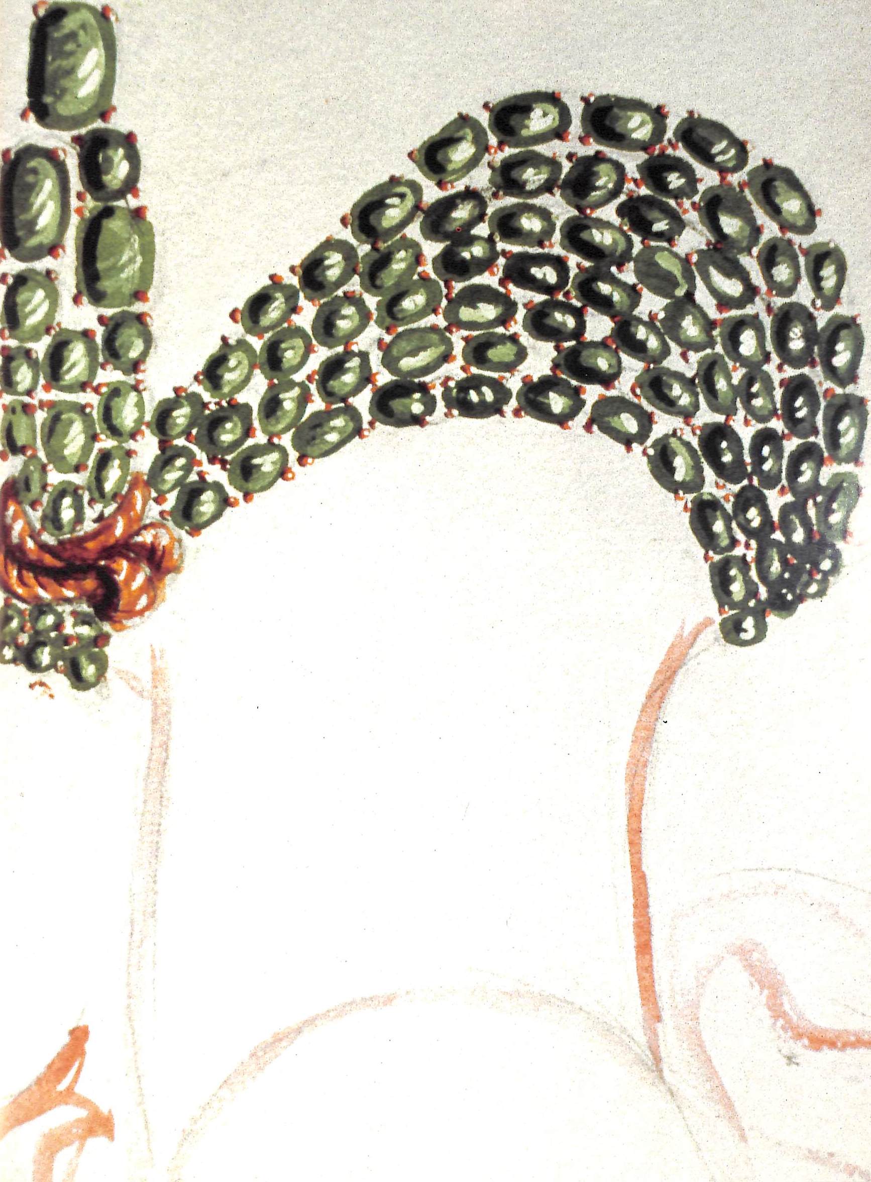 "Verdura The Life And Work Of A Master Jeweler" 2002 CORBETT, Patricia (SOLD)