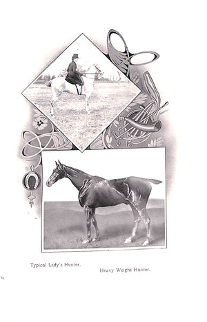 "Horse And Hound" 1908