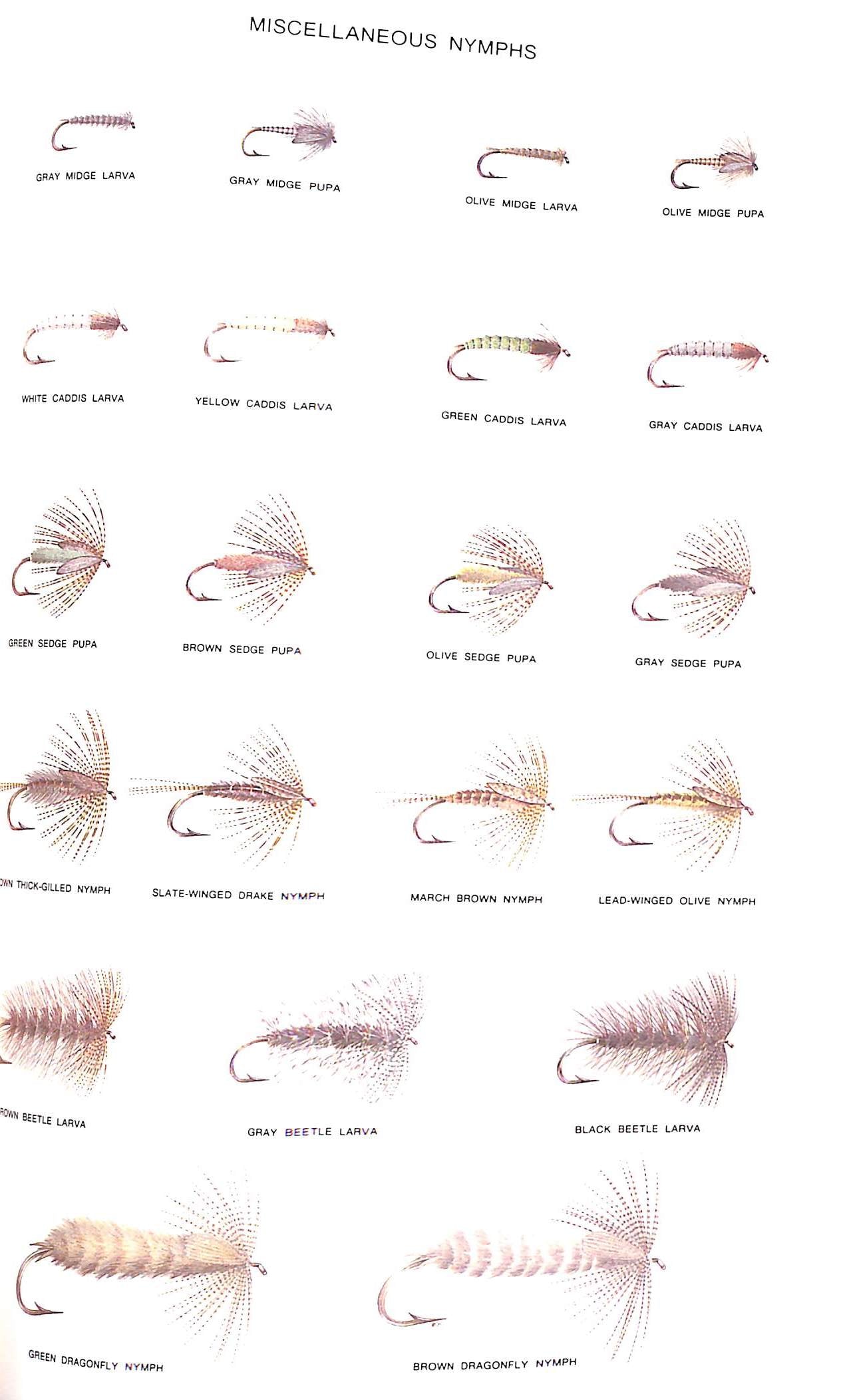 "Trout" 1978 SCHWIEBERT, Ernest