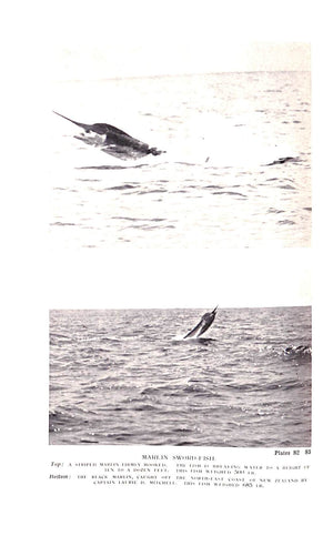 "Sea Fishing Vol XVII" 1934 COOPER, A.E.