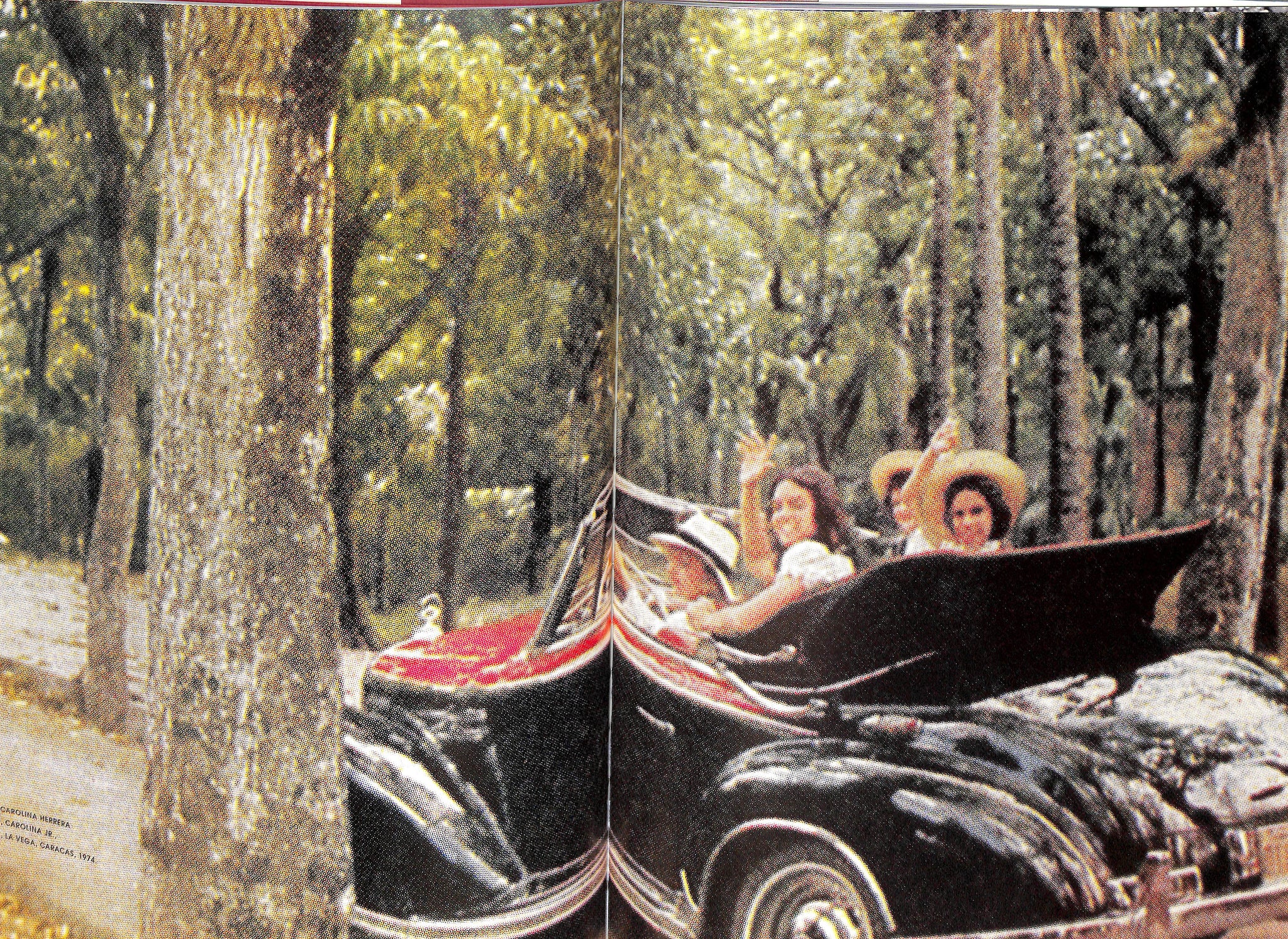 "Carolina Herrera Portrait Of A Fashion Icon" 2004 KOTUR, Alexandra