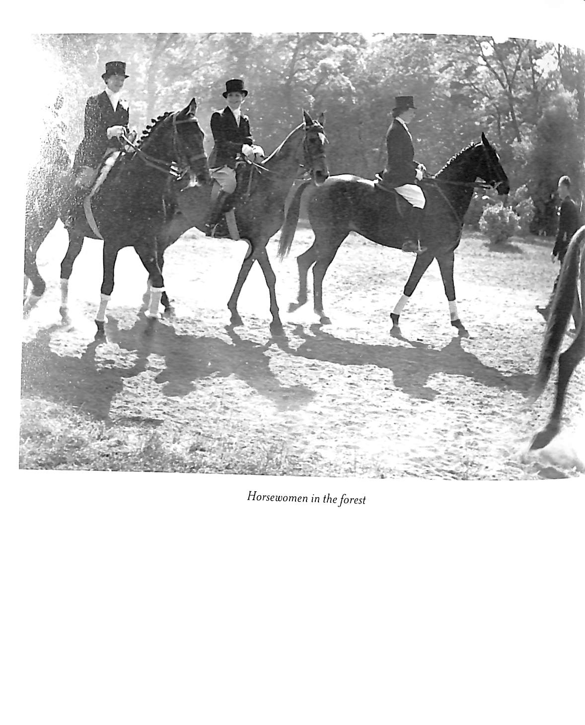 "Proust: In The Power Of Photography" 2001 Brassai