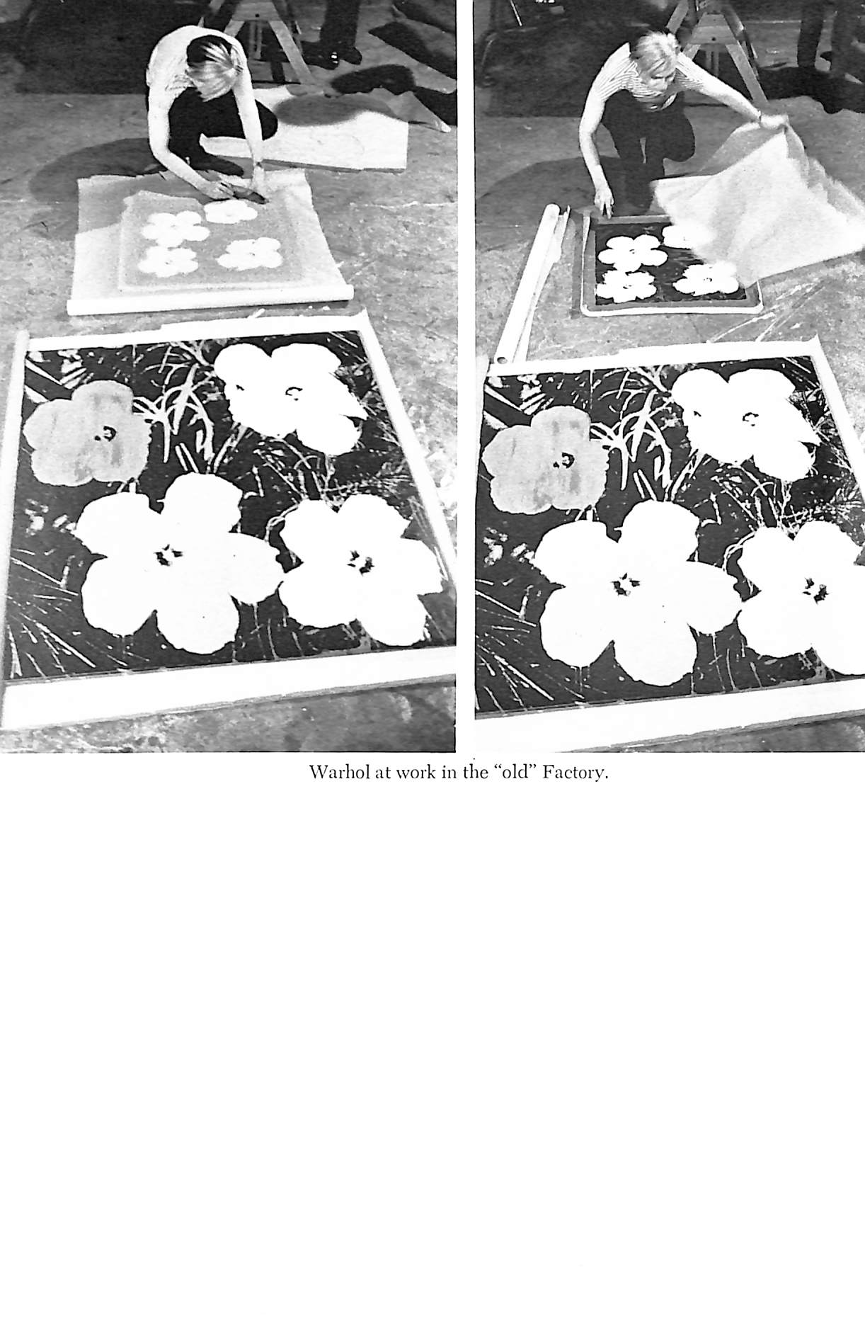 "Stargazer: Andy Warhol's World And His Films" 1973  KOCH, Stephen