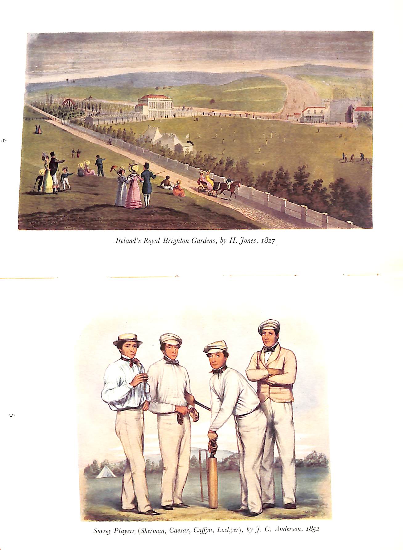 "The Picture Of Cricket" 1955 ARLOTT, John