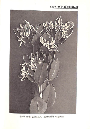 "Our Garden Flowers" 1910 KEELER, Harriet L.