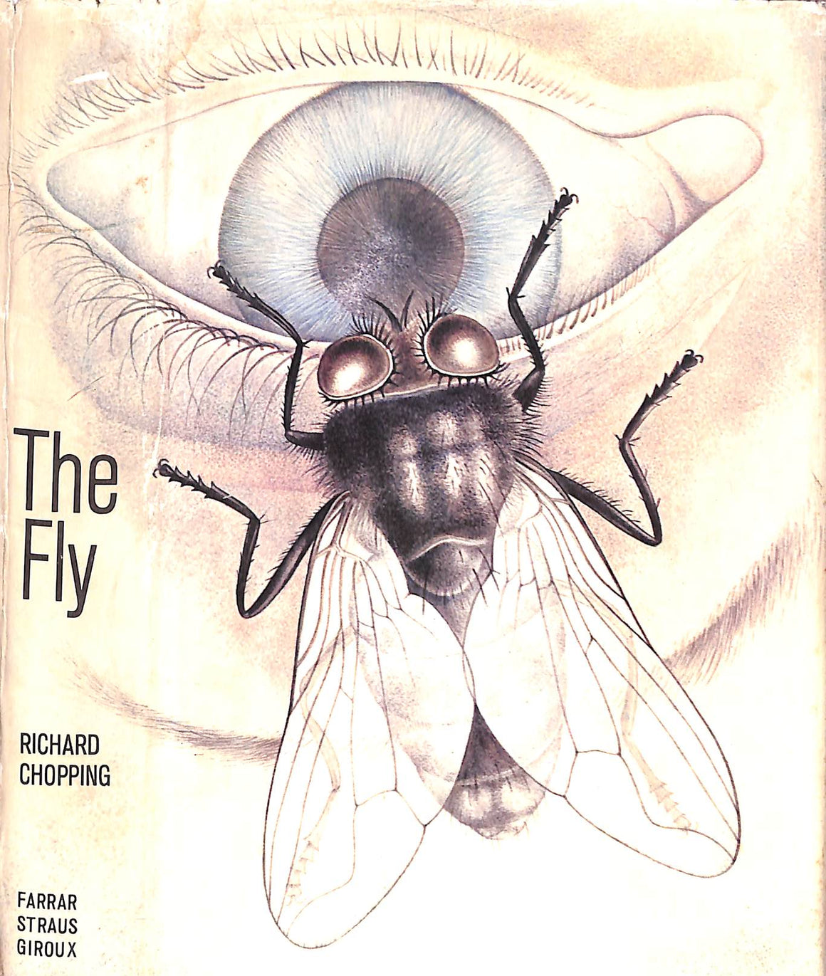 "The Fly" 1965 CHOPPING, Richard