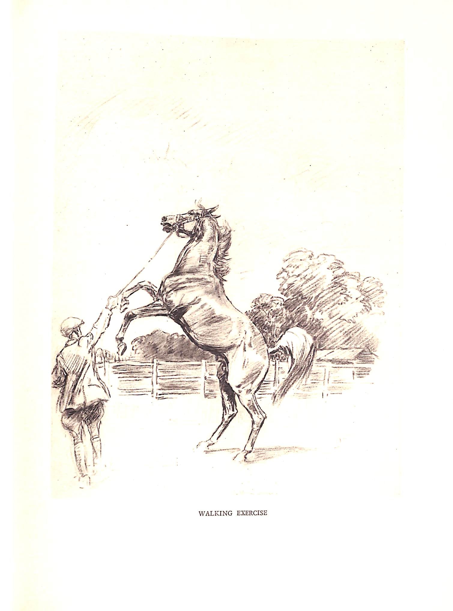 "Thoroughbred And Hunter" 1934 FAWCETT, William