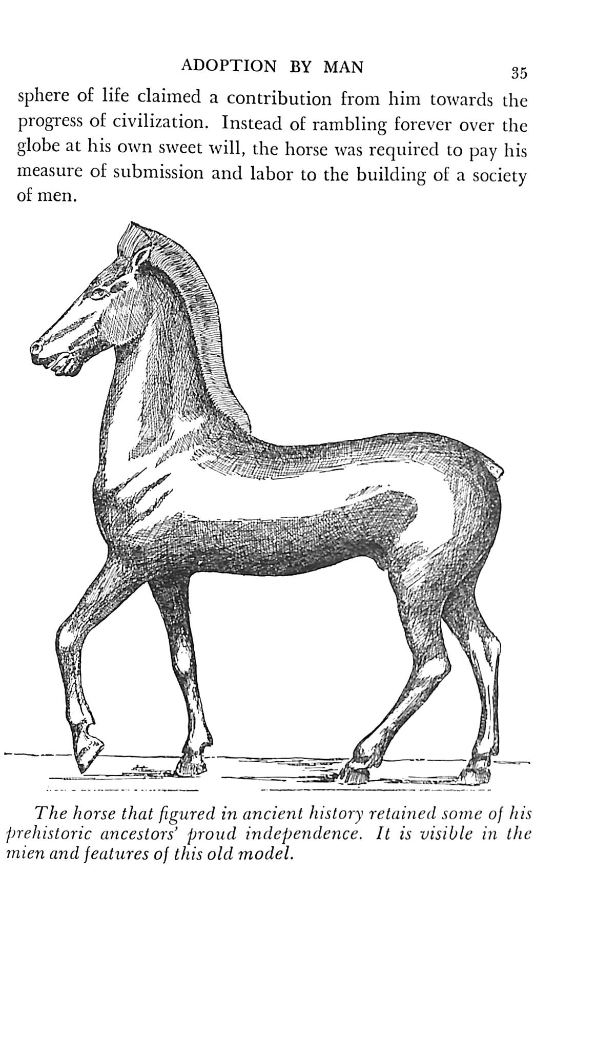 "The History And Romance Of The Horse" 1941 VERNON, Arthur