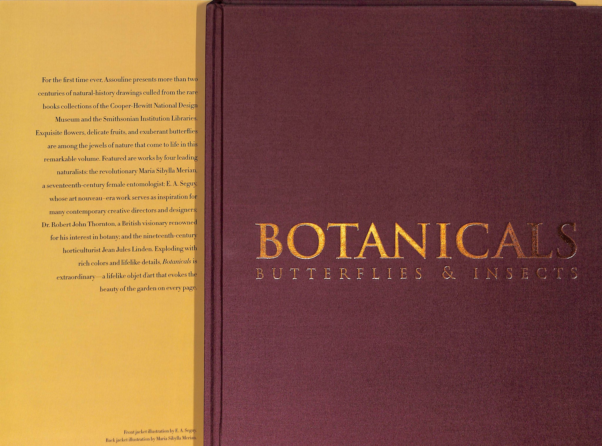 "Botanicals: Butterflies & Insects" 2008 OVERSTREET, Leslie K.