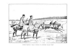 "The Badminton Library Riding and Polo" 1902 WEIR, Capt Robert & BROWN, J Moray