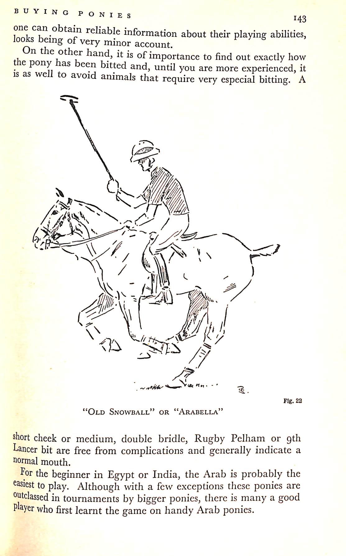 "Polo The Lonsdale Library Vol XXI" 1936 The Earl of Kimberley [editor] (SOLD)