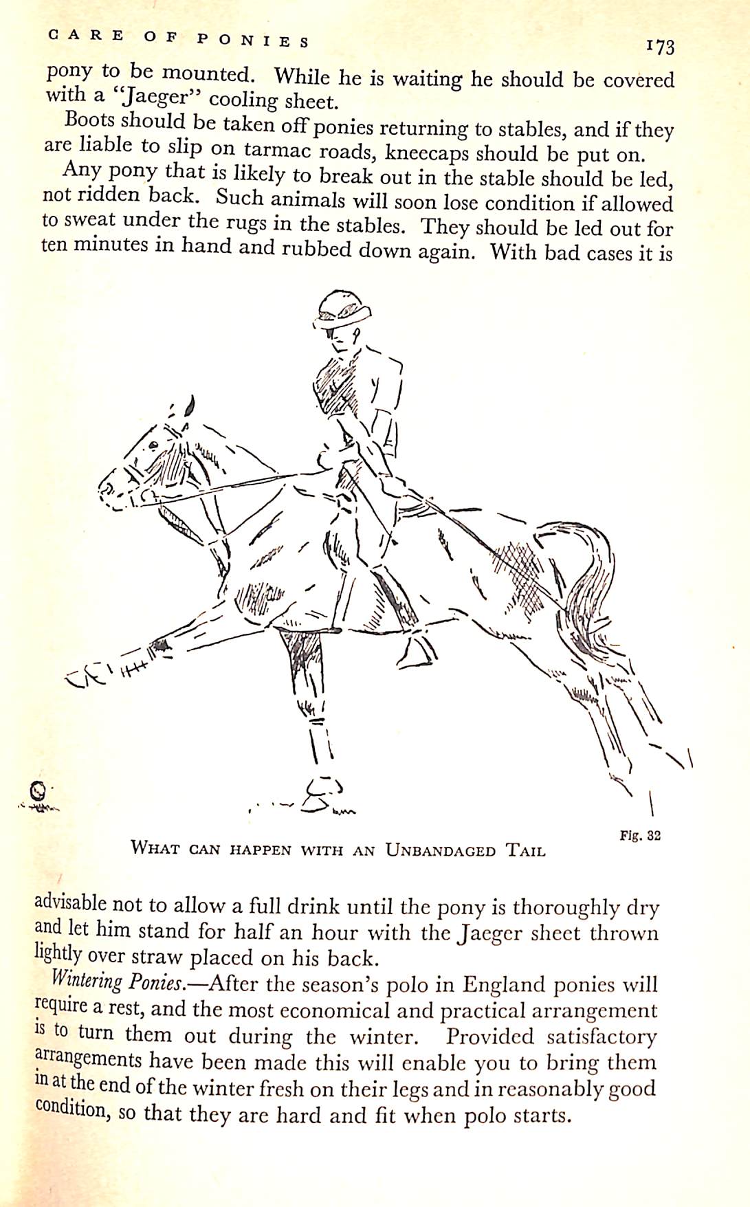 "Polo The Lonsdale Library Vol XXI" 1936 The Earl of Kimberley [editor] (SOLD)