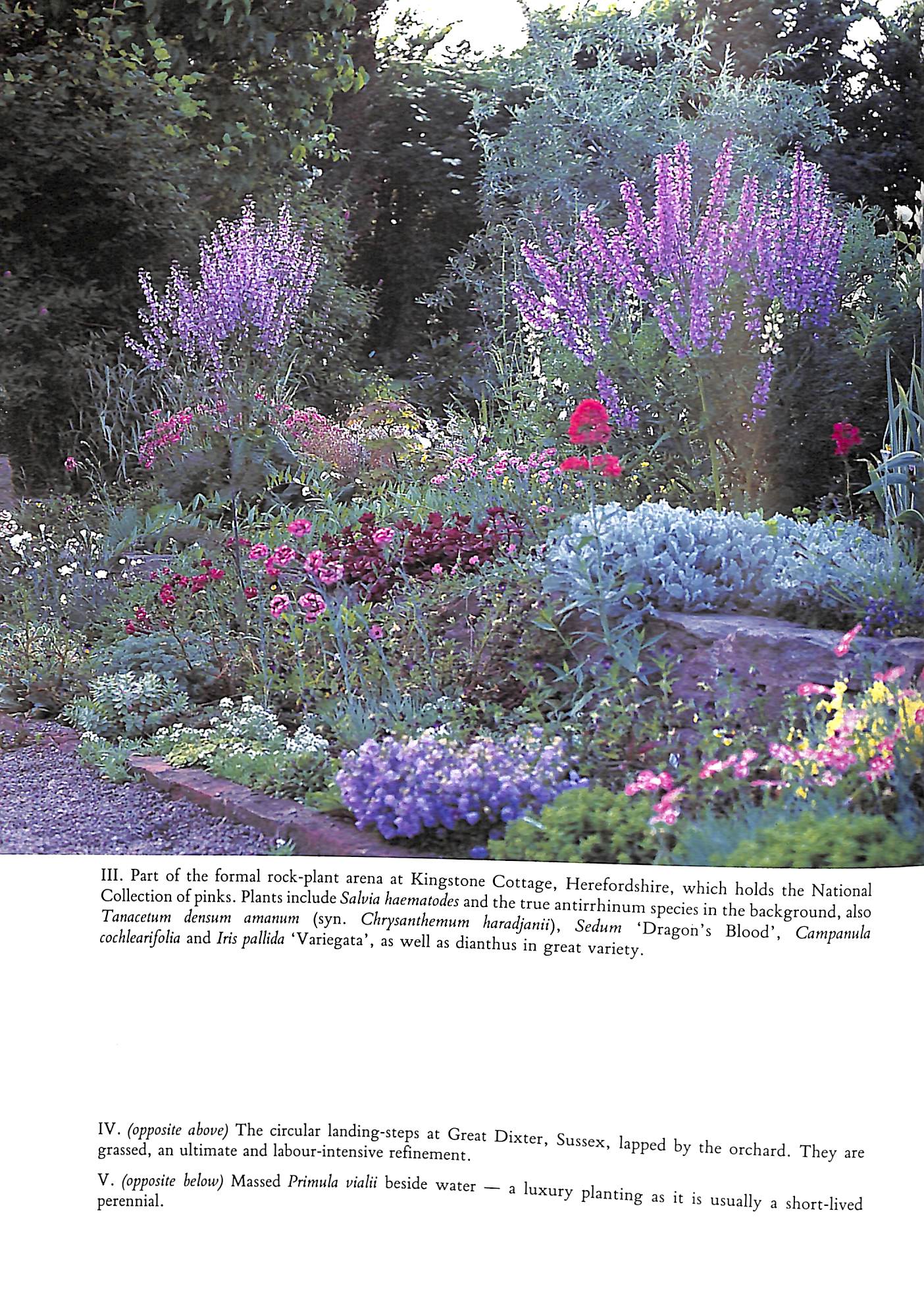 "Gardens For Small Country Houses" 1988 SAVILLE, Diana