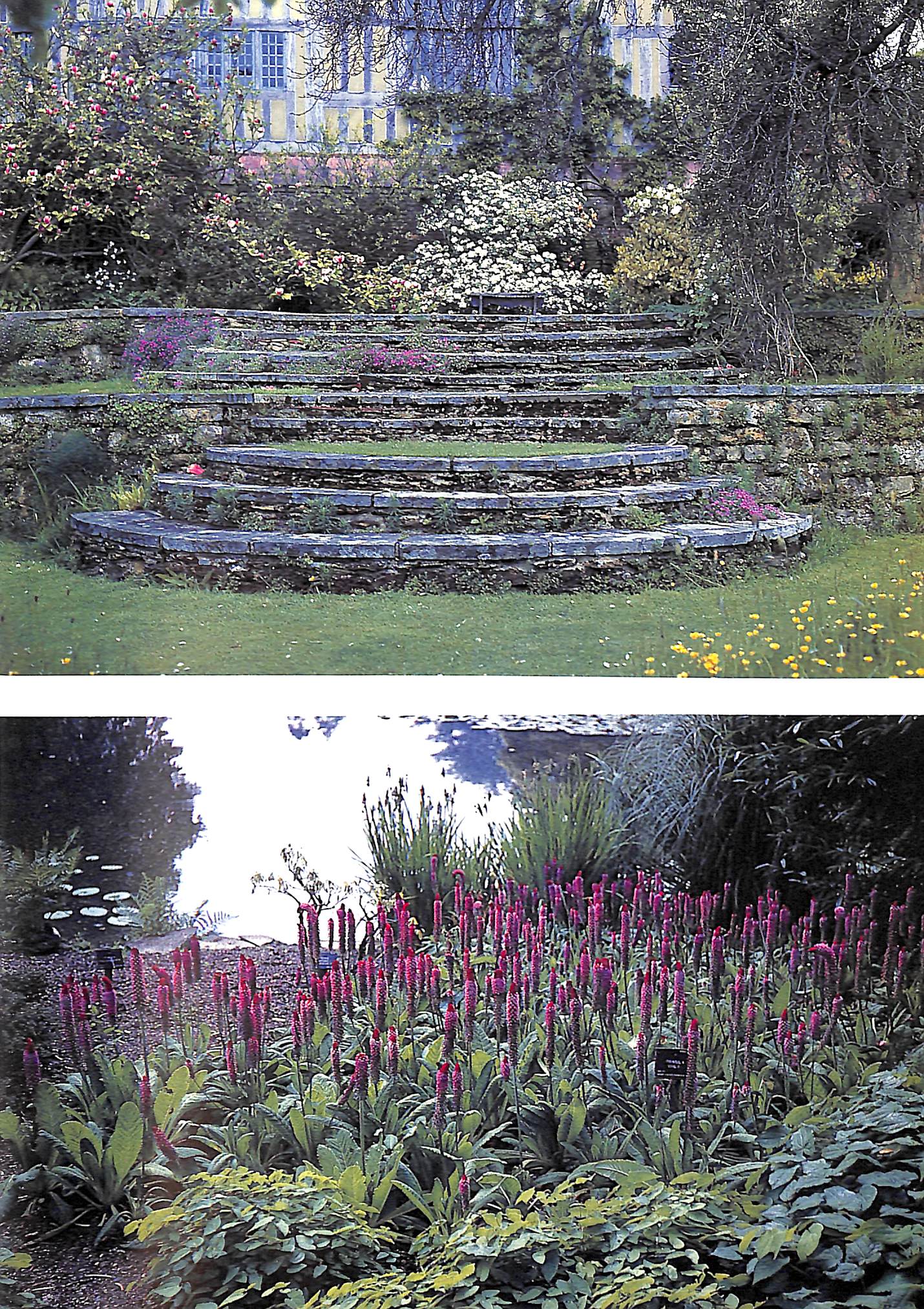 "Gardens For Small Country Houses" 1988 SAVILLE, Diana