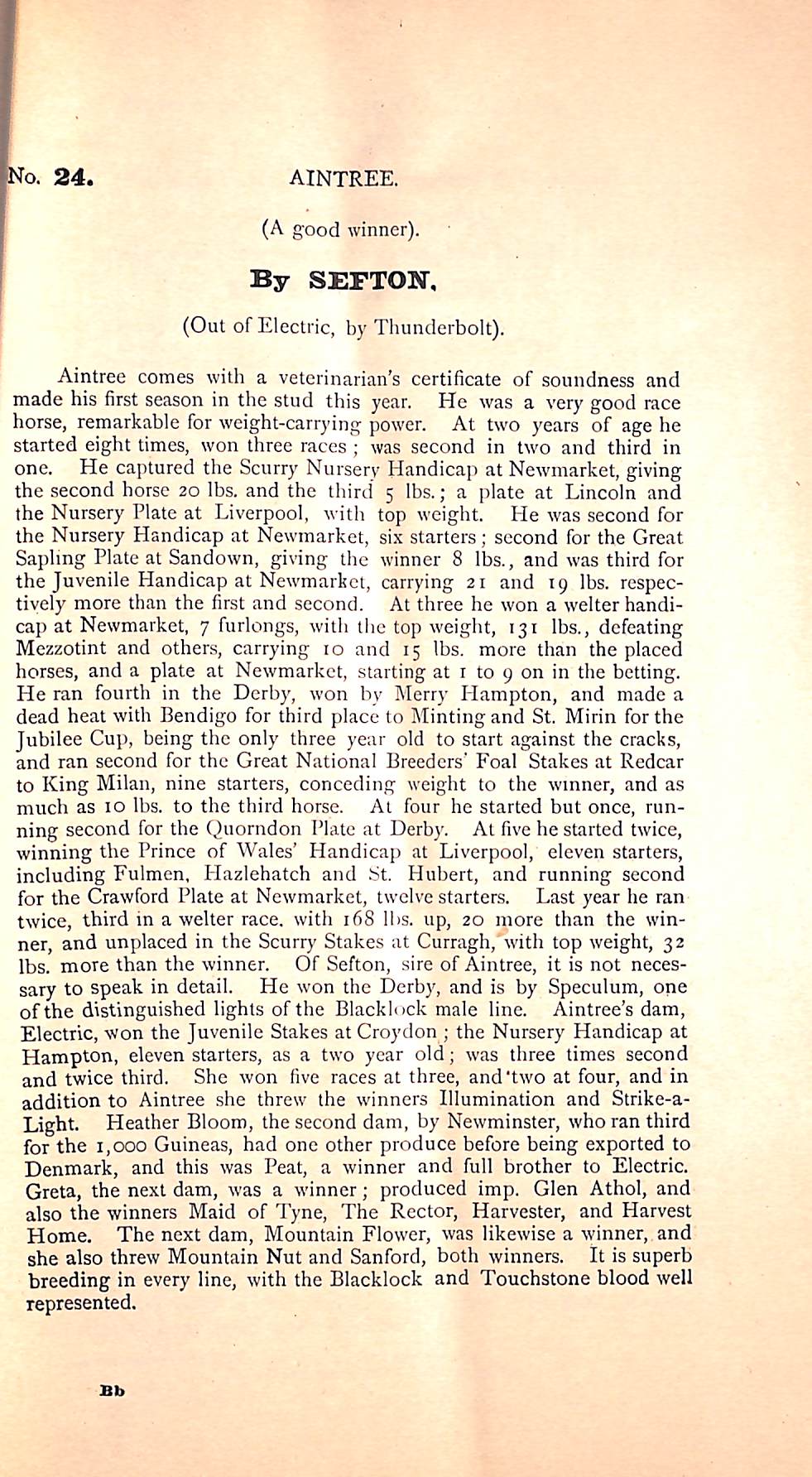 Tattersalls' Third Great Sale Of Thoroughbred Horses To Be Held By Public Auction - October 19, 1892