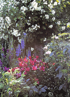 "Secret Gardens Of London" 2004 CLIFTON-MOGG, Caroline