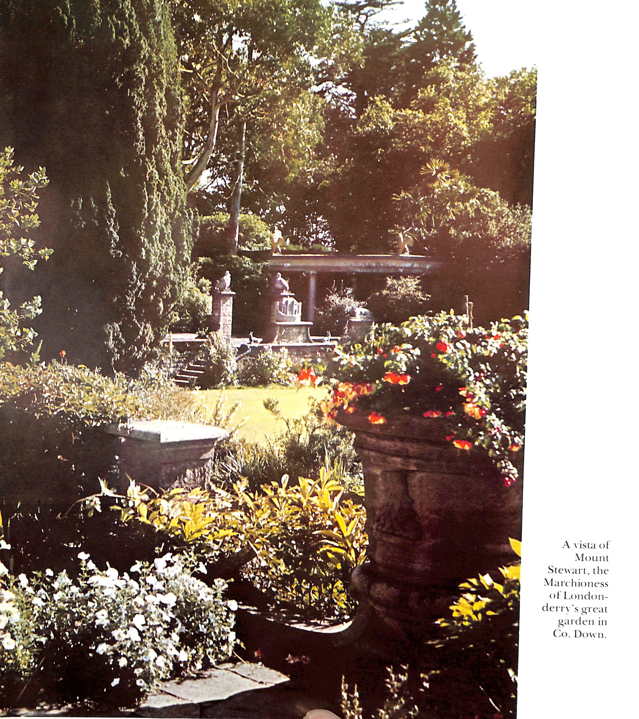 "Irish Gardens" 1967 HYAMS, Edward [text by]
