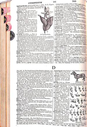 "Webster's Collegiate Dictionary" 1924 WEBSTER, Noah (SOLD)