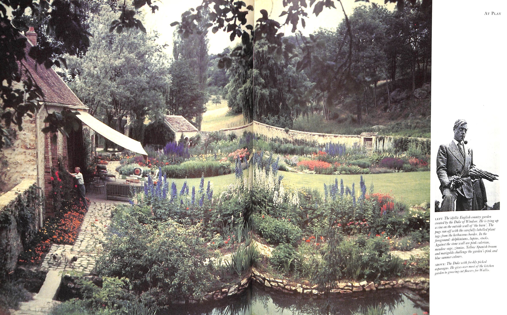 "The Windsor Style" 1988 MENKES, Suzy