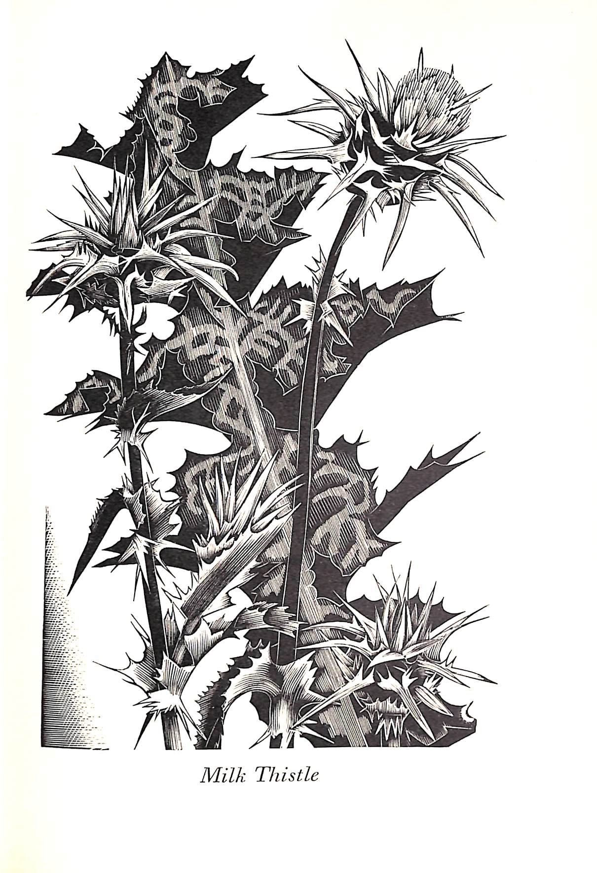 "A Country Garden" 1936 ARMITAGE, Ethel [written by]