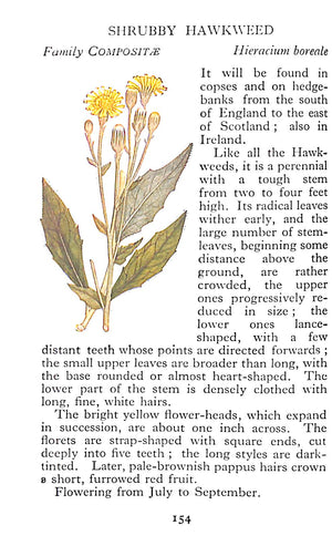 "The Observer's Book Of Wild Flowers" 1958 STOKOE, W.J. [compiled by]