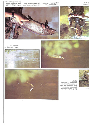 "The Trout and Fly: A New Approach " 1980 CLARKE, Brian  and GODDARD, John (SIGNED)