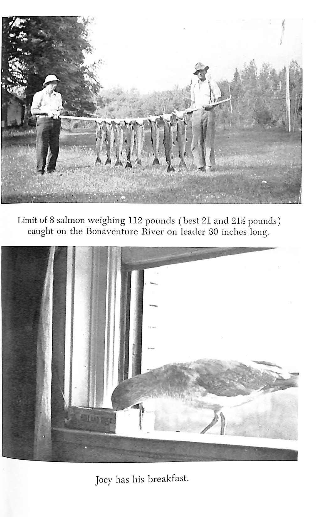 "Trout And Salmon Fishing" 1949 HUTTON, John E.