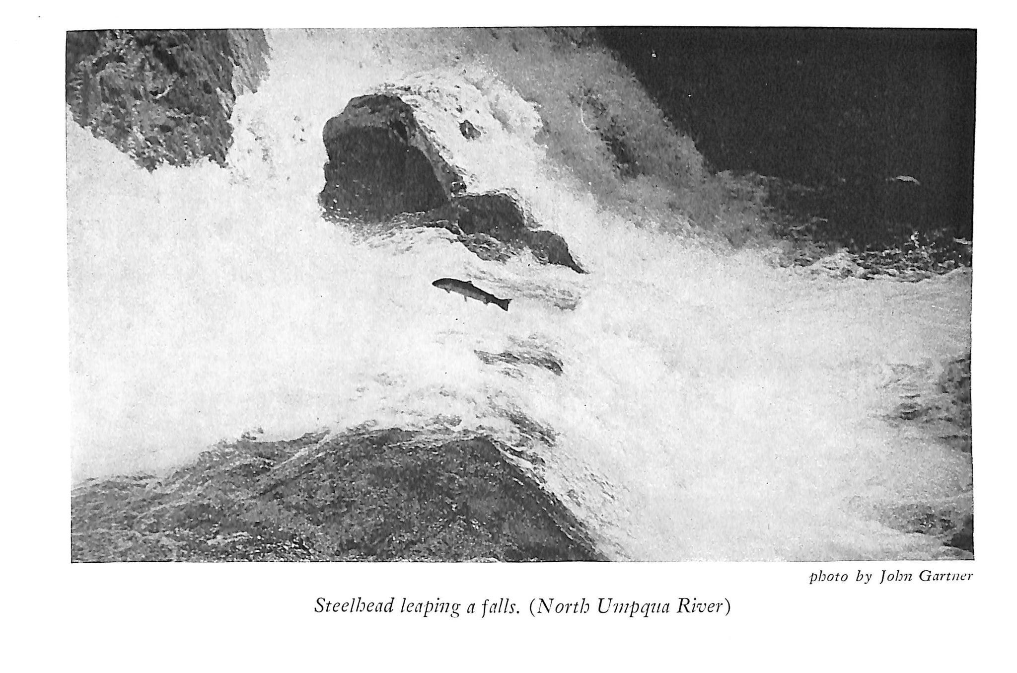 "Western Trout" 1948 MACDOWELL, Syl