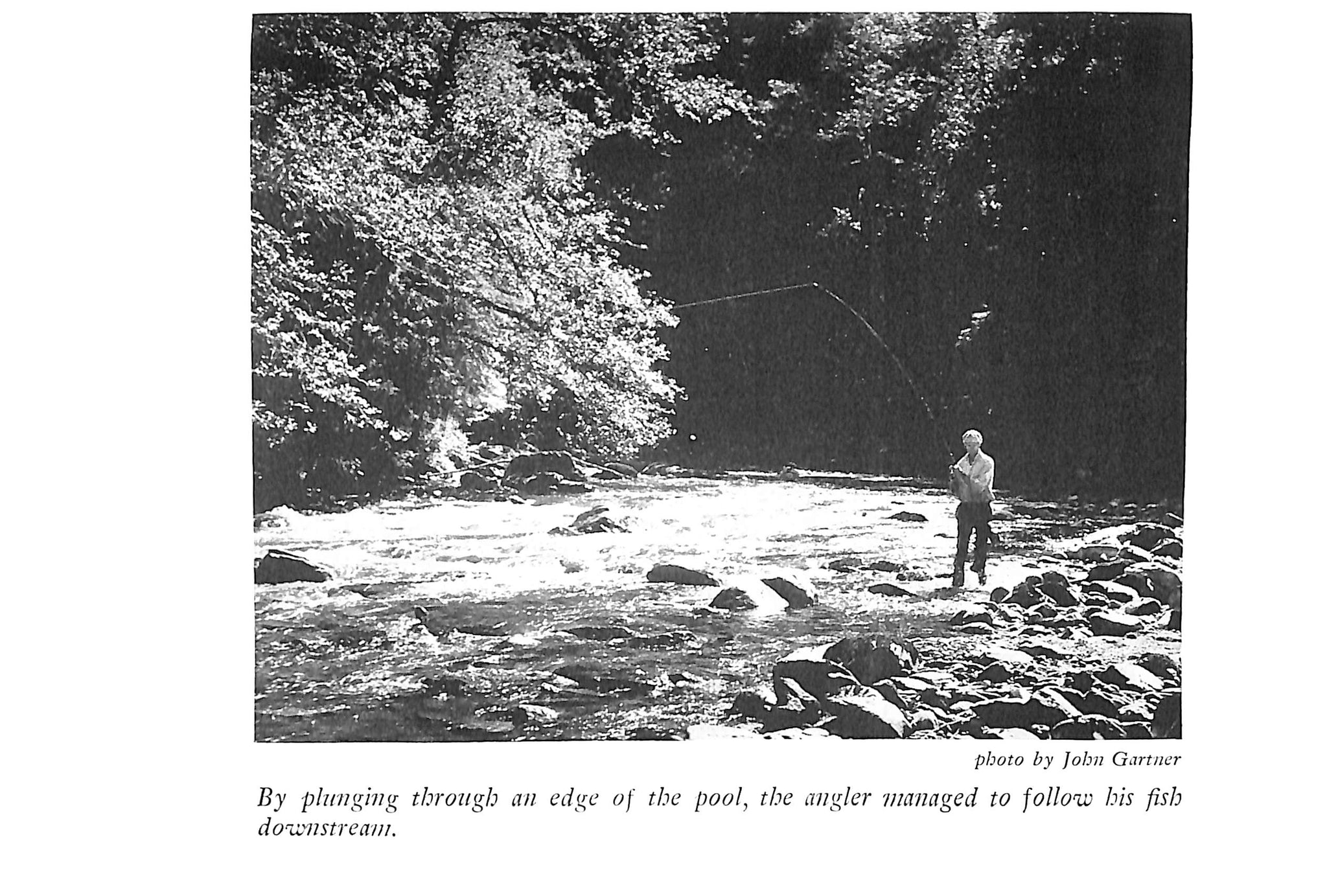 "Western Trout" 1948 MACDOWELL, Syl