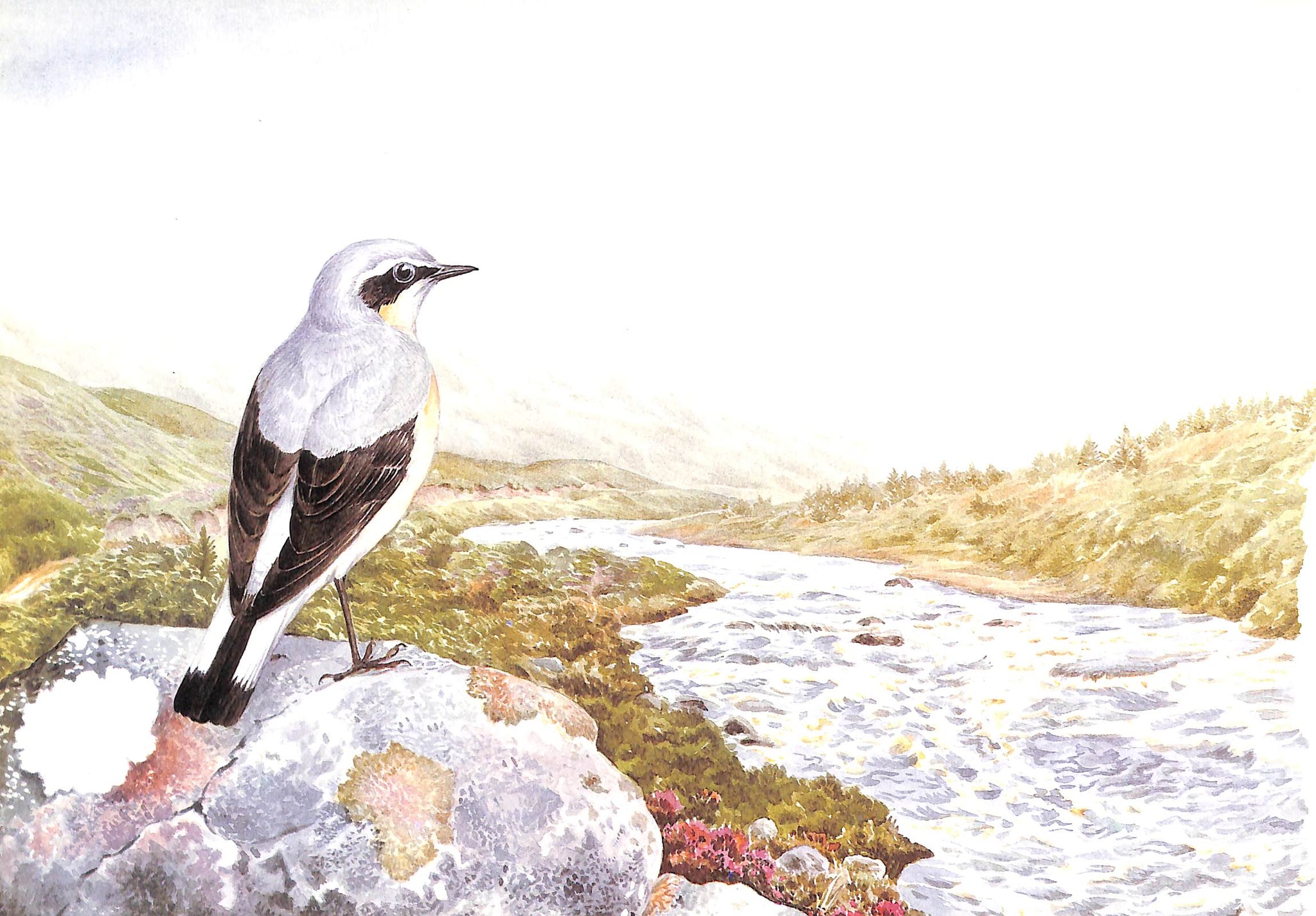 "At The Water's Edge: A Fisherman's Progress Around Britain" 1989 PERKINS, Benjamin