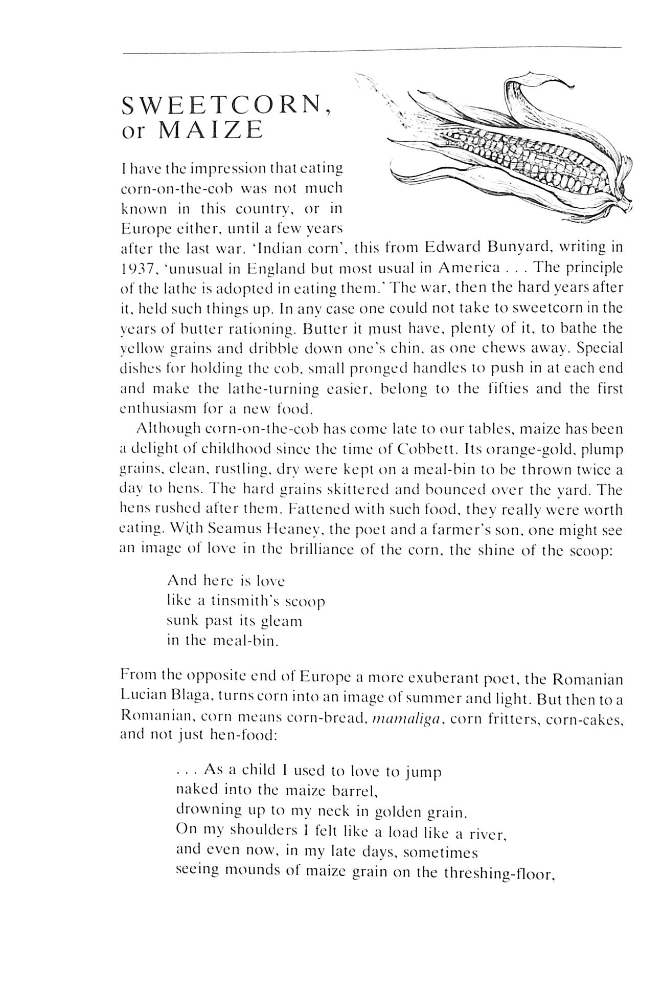 "Jane Grigson's Vegetable Book" 1978 GRIGSON, Jane