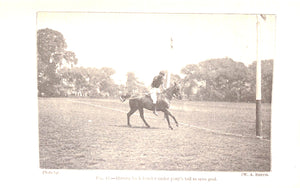 "Modern Polo" MILLER, Lieut. Colonel E. D., C.B.E., D.S.O