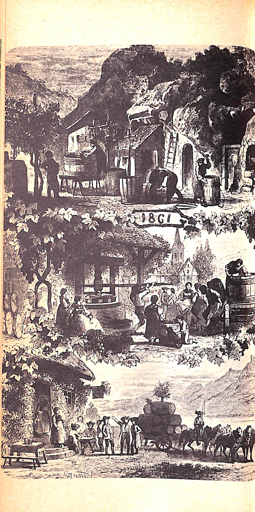 "Guide Du Vin" 1967 DUMAY, Raymond