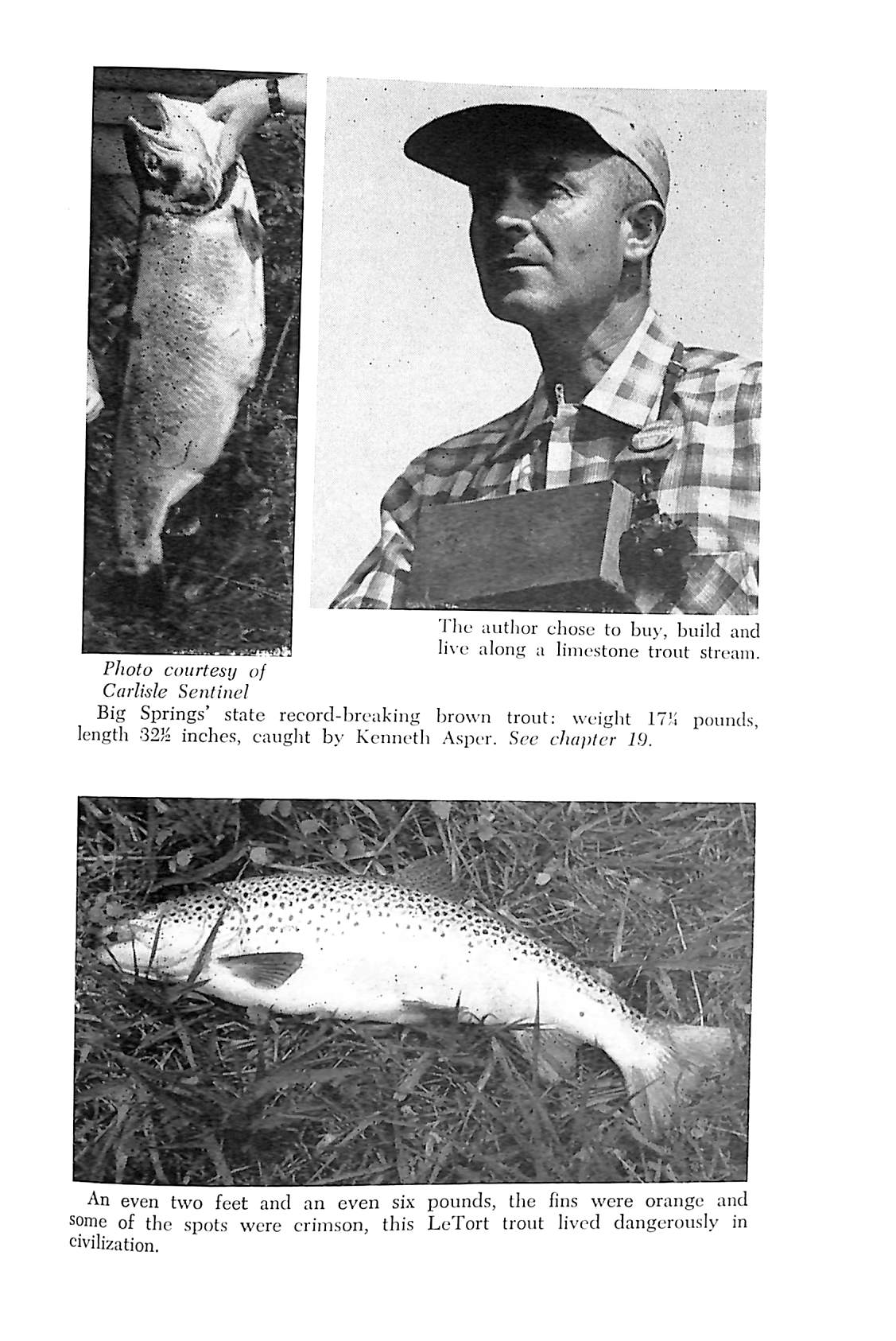 "Rising Trout" 1967 FOX, Charles