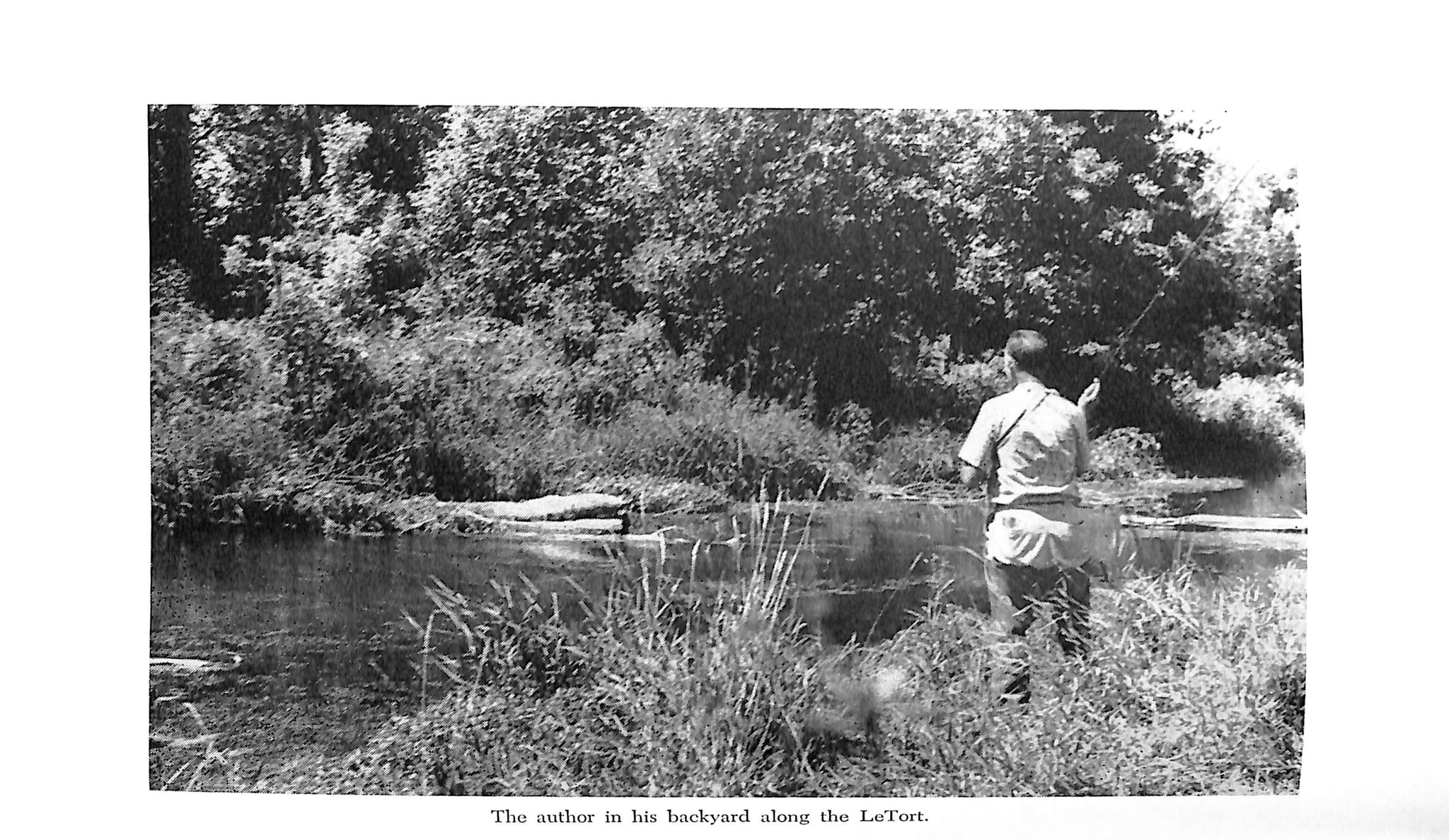 "Rising Trout" 1967 FOX, Charles