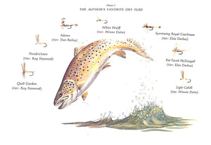 "The Compleat Brown Trout" 1983 HEACOX, Cecil E.