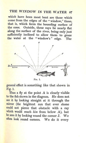 "Sunshine And The Dry Fly" 1950 DUNNE, J.W.